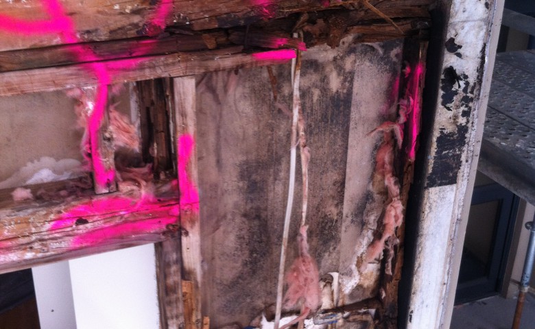 decayed timbers marked up for removal