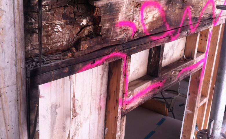 decayed timbers marked up for removal